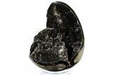 Septarian Dragon Egg Geode - Sparkly Black Crystals #308801-1